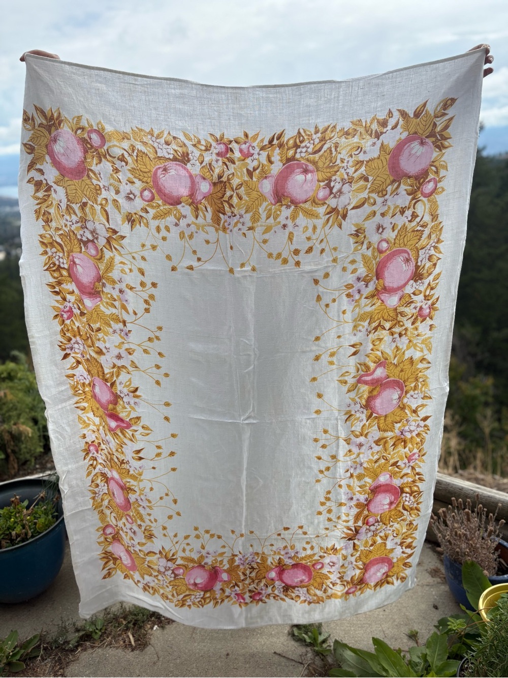 CottageCore Table Apple 🍎 Fall Table Cloth Linen